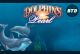Dolphins Pearl BTD